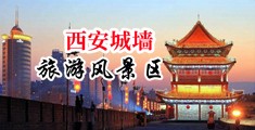 超污视频插我逼逼好爽啊中国陕西-西安城墙旅游风景区